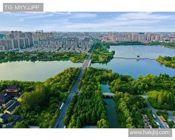 伐木者与盐城湖的对抗：生态保护与资源开发的博弈与思考